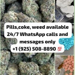 Big Gas Dispensary