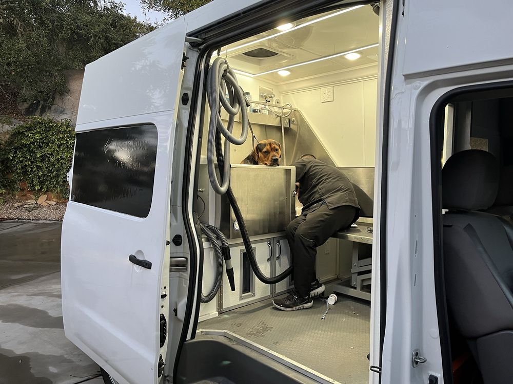 DIVA DOGGY SPA Updated June 2024 10 Photos Escondido, California