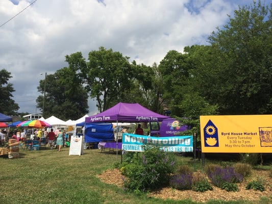 Birdhouse Farmers Market by null