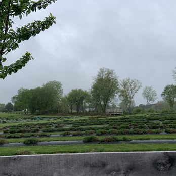 Indigo Lavender Farms - Pick Your Own Farms Near Me - Imlay City, Michigan
