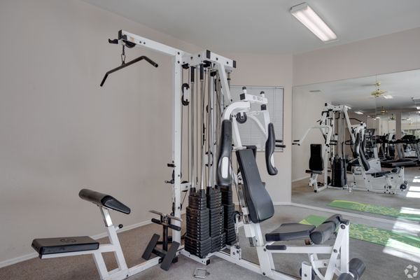 The Polo Club by null