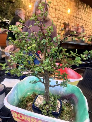 Wild Air Beerworks by null