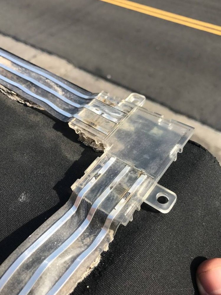 PRO BIRD CONTROL HARTFORD 32 Photos Hartford, Connecticut Pest