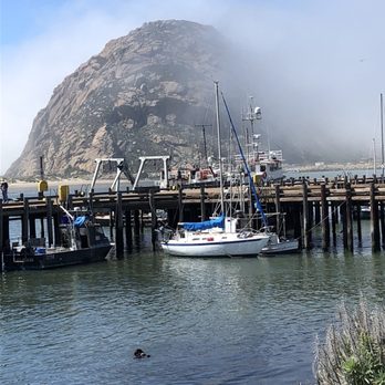 Goddess Goods - Eat with the otters across the street - Vegan Near Me - Morro Bay, California
