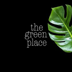 The Green Place - Hello!  It's nice to meet you!