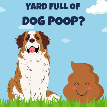 Pawsome Scoopers - Pet Waste Removal Near Me - Hedgesville, West Virginia Pawsome Scoopers - Pet Waste Removal Near Me - Hedgesville, West Virginia
