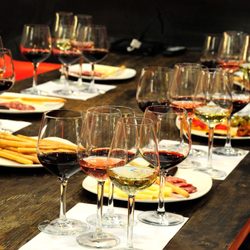 Gladiator Wine Distribution - White, rosè, and red wine tasting, wine class, Italian wine.
