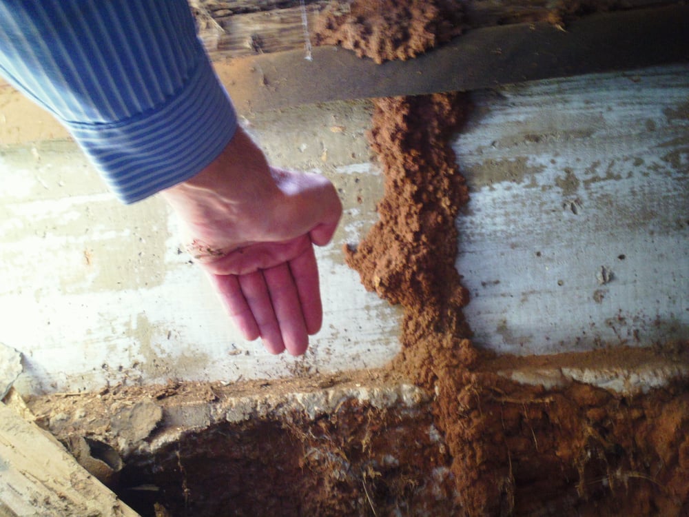 Western Pest Control - tree service in Yukon, OK