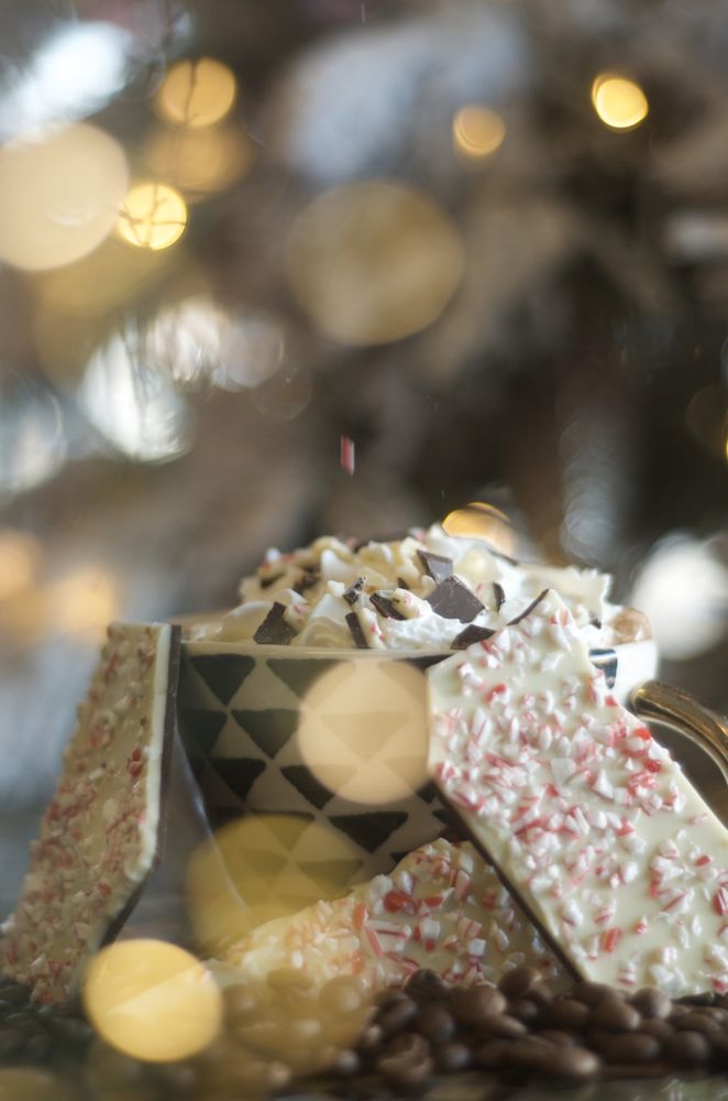 The Studio Gallery & Coffee Bar Logo