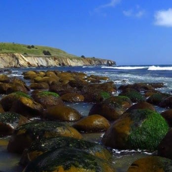 Bowling Ball Beach - Beaches Near Me - Point Arena, California