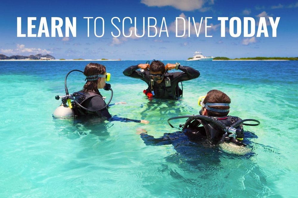 The Pirate Diver Scuba Instruction Logo