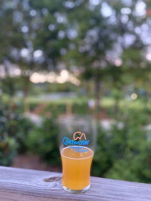 Coldwater Mountain Brewpub by null