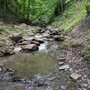 Photo of Clarks Gully