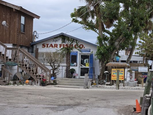 Star Fish Company by null
