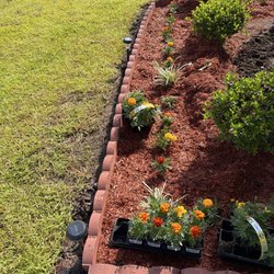 Lowe's Home Improvement - Nice flowers and plants