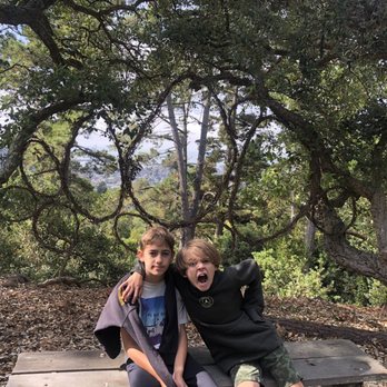 Blake Garden - So many benches for peaceful contemplation. - Parks Near Me - Kensington, California