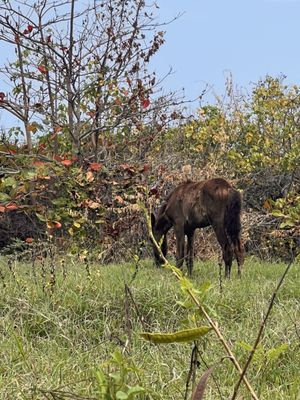 Blue Horizon Boutique Resort by null