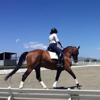 VetweRx Equine North - Veterinarians Near Me - Longmont, Colorado VetweRx Equine North - Veterinarians Near Me - Longmont, Colorado
