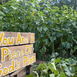 Smith's Family Fun Farm
