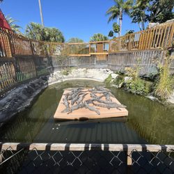 Smugglers Cove Adventure Golf