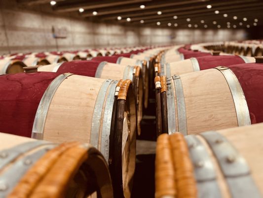 Opus One Winery by null