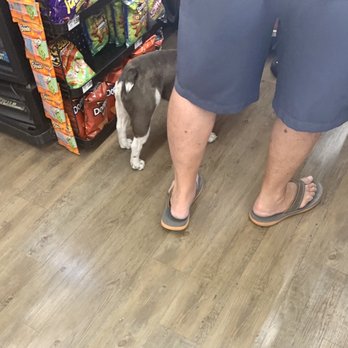 Stater Bros. Markets - Proof that it's ok to take none service dogs to Sean's stater bro's. - Grocery Near Me - Upland, California Stater Bros. Markets - Proof that it's ok to take none service dogs to Sean's stater bro's. - Grocery Near Me - Upland, California