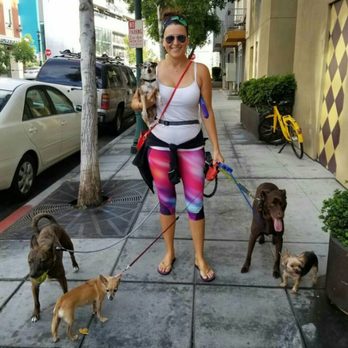 Stanza Pet - #stanzatribe on a walk :) - Pet Sitting Near Me Stanza Pet - #stanzatribe on a walk :) - Pet Sitting Near Me