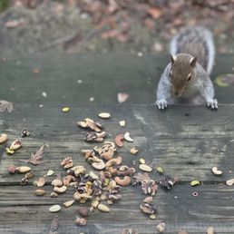 Look who's excited for his trail mix!