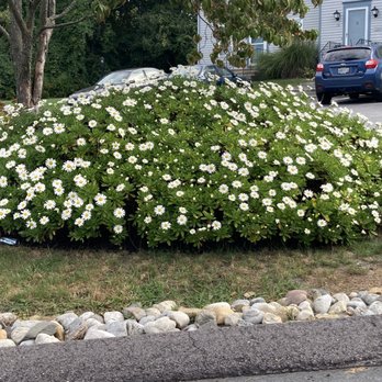 Greenwich Estates - Real Estate Services Near Me - West Warwick, Rhode Island