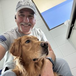 Avenues Pet Clinic