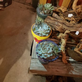 Midtown Garden Center - Nurseries & Gardening Near Me - Miami, Florida Midtown Garden Center - Nurseries & Gardening Near Me - Miami, Florida