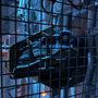 Photo of Mind Trap Escape Room