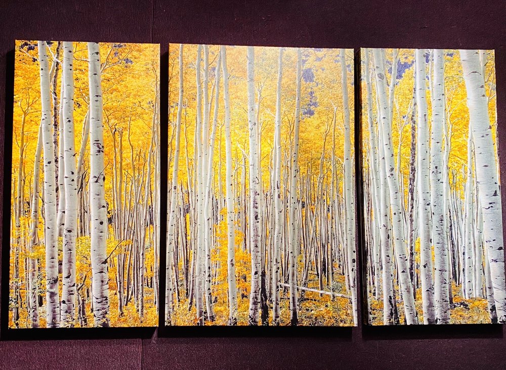 ECLECTIC IMAGE GALLERY Updated September 2024 29 Photos & 13