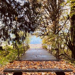 Elkamp - Footbridge from the campground and over the running creek to the meadow