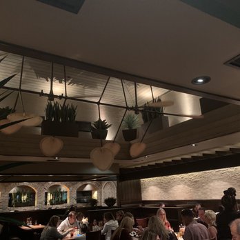 Cheddar's Scratch Kitchen - Interesting fan - American Near Me - Orlando, Florida Cheddar's Scratch Kitchen - Interesting fan - American Near Me - Orlando, Florida