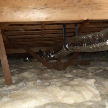 Attic Crew - Pest Control Near Me - Renton, Washington Attic Crew - Pest Control Near Me - Renton, Washington