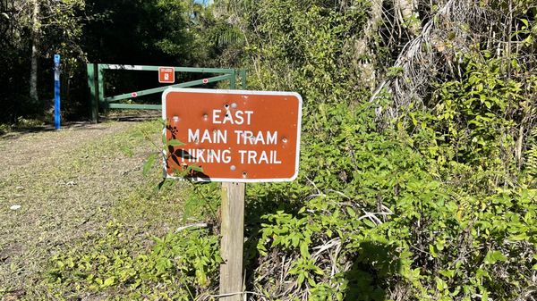 Fakahatchee Strand Preserve State Park by null