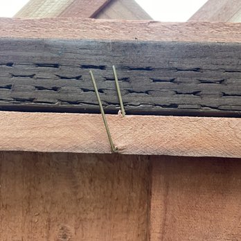 Ergeon - Nails sticking out - Fences & Gates Near Me - San Jose, California