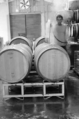 Madson Wines by null