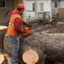 1st Choice R & R Tree Service