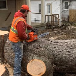 1st Choice R & R Tree Service