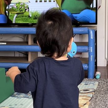 Little Kuts Hawaii - Kids Hair Salons Near Me - Aiea, Hawaii Little Kuts Hawaii - Kids Hair Salons Near Me - Aiea, Hawaii