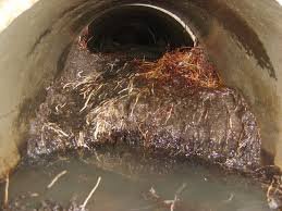 Slide of Dominion Root Control