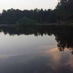 Lake Houston Marina - Nice place to fish!