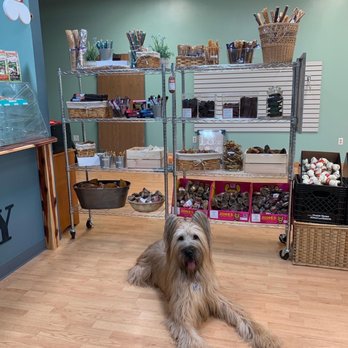 Rover Valley Natural Pet - Pet Groomers Near Me - Fort Smith, Arkansas Rover Valley Natural Pet - Pet Groomers Near Me - Fort Smith, Arkansas