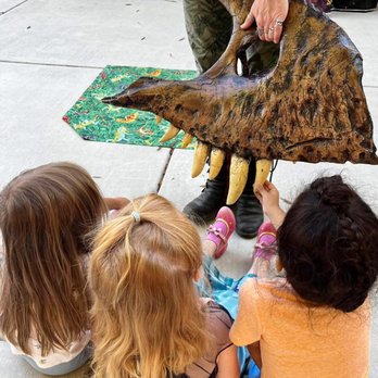 Lil Einsteins - Preschools Near Me - Vacaville, California