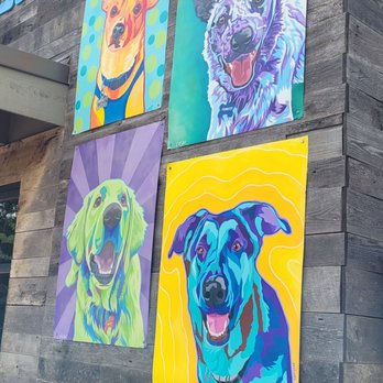 The Shacks - Dog Parks Near Me - The Colony, Texas The Shacks - Dog Parks Near Me - The Colony, Texas