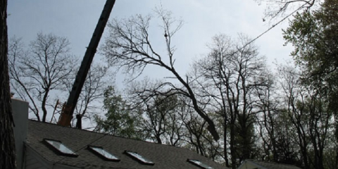T & L Tree And Landscape - tree service in Macedon, NY