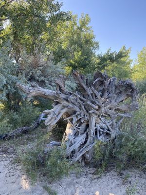 Cherry Creek State Park by null