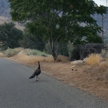 Sequoia Lodge - Hotels Near Me - Kernville, California